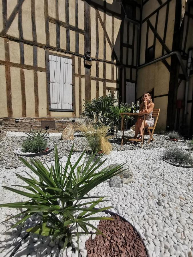 Appartement L'Oiseau De La Cathédrale - Calme - Jardin - Wifi à Troyes Extérieur photo